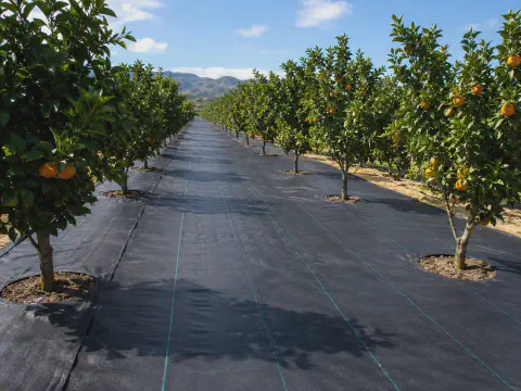 Agriculture ground cover application